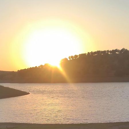 TorrãoNova Quinta Moderna Torramo Em Oliveiras, Campo De Laranjas, Na Nacional 2, Alentejo 13750 M2别墅 外观 照片
