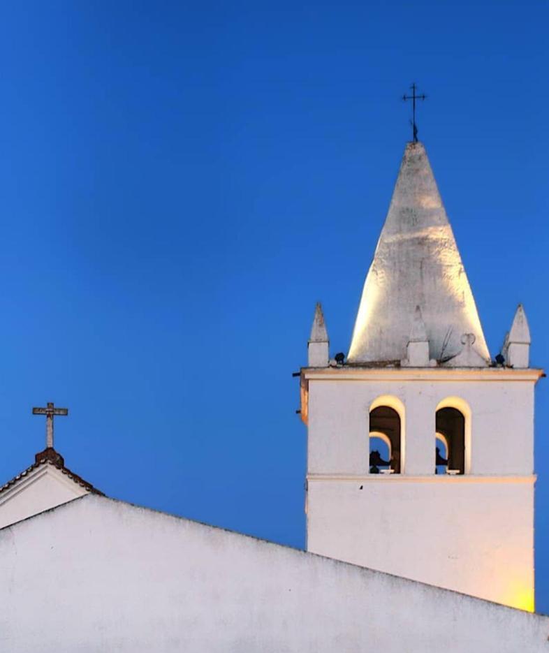 TorrãoNova Quinta Moderna Torramo Em Oliveiras, Campo De Laranjas, Na Nacional 2, Alentejo 13750 M2别墅 外观 照片