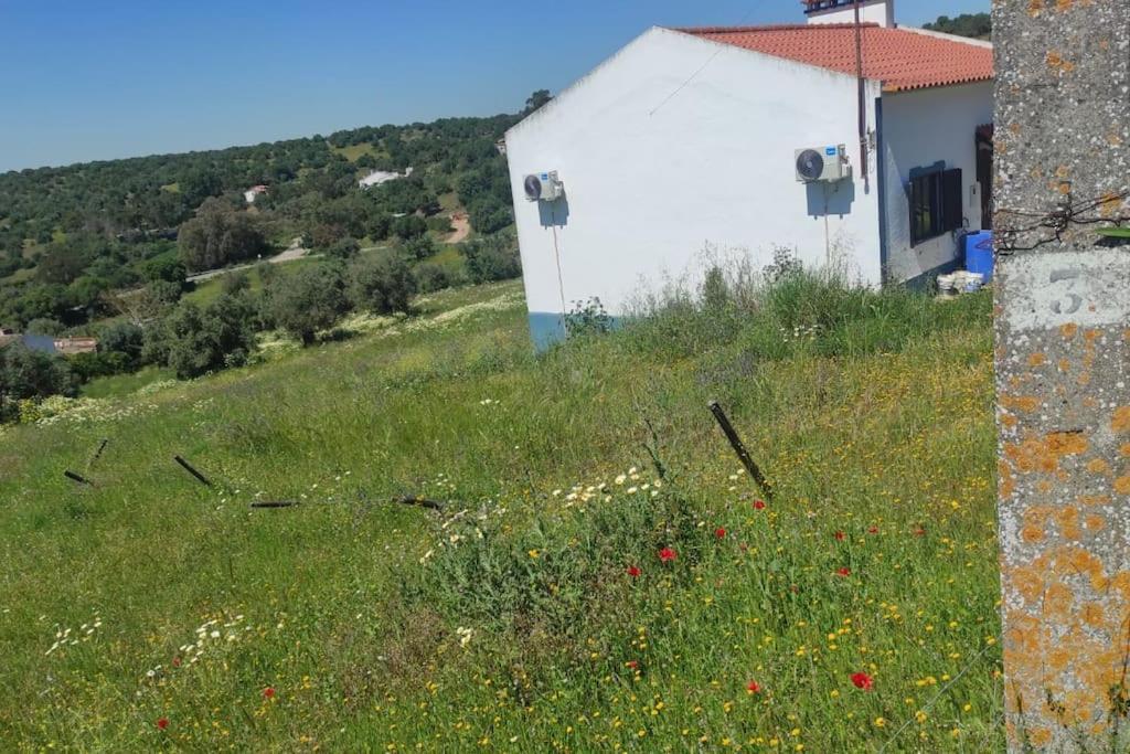 TorrãoNova Quinta Moderna Torramo Em Oliveiras, Campo De Laranjas, Na Nacional 2, Alentejo 13750 M2别墅 外观 照片