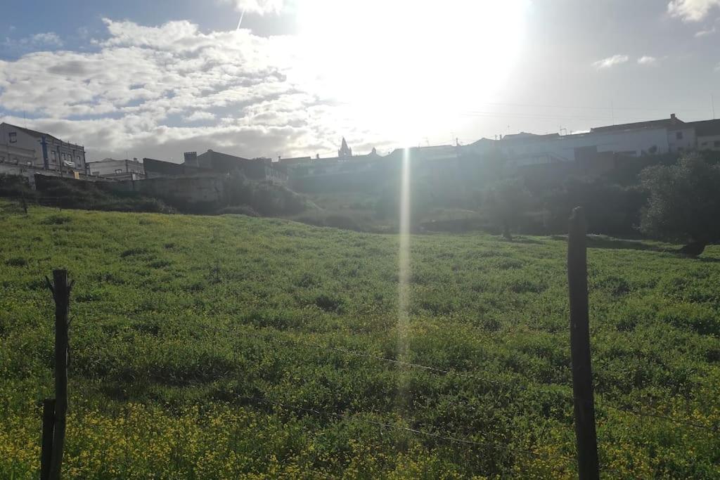 TorrãoNova Quinta Moderna Torramo Em Oliveiras, Campo De Laranjas, Na Nacional 2, Alentejo 13750 M2别墅 外观 照片
