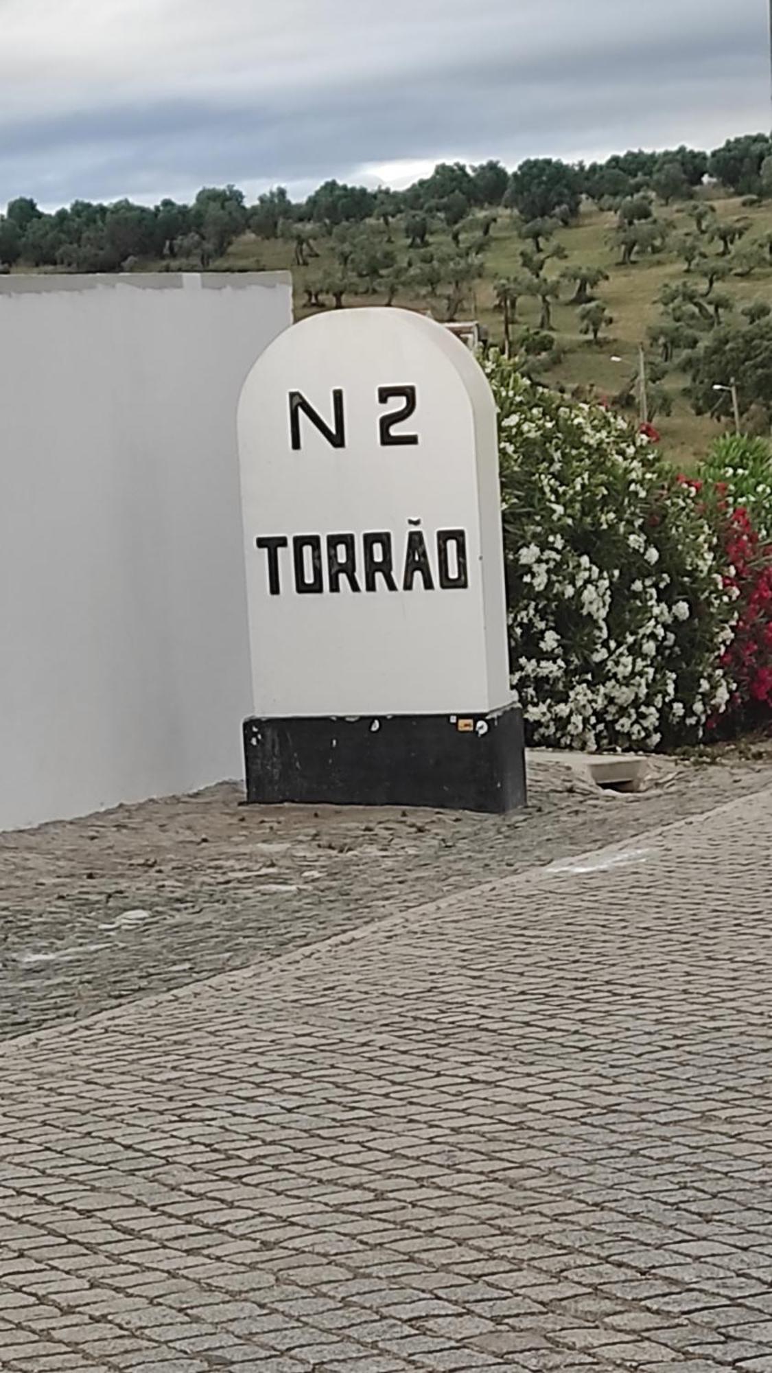 TorrãoNova Quinta Moderna Torramo Em Oliveiras, Campo De Laranjas, Na Nacional 2, Alentejo 13750 M2别墅 外观 照片
