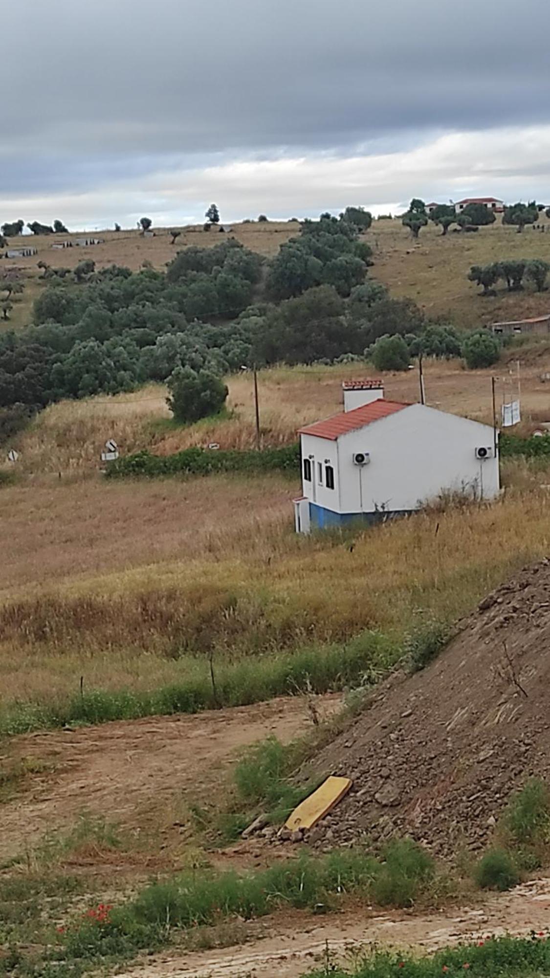 TorrãoNova Quinta Moderna Torramo Em Oliveiras, Campo De Laranjas, Na Nacional 2, Alentejo 13750 M2别墅 外观 照片