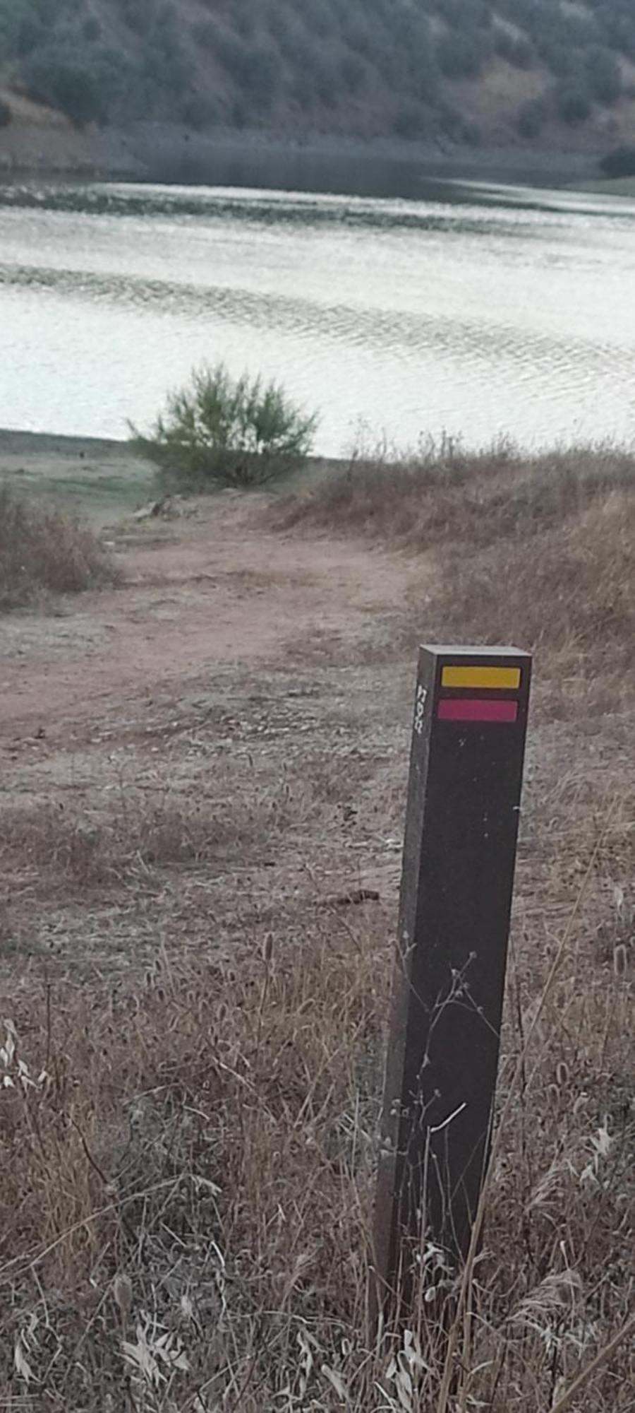 TorrãoNova Quinta Moderna Torramo Em Oliveiras, Campo De Laranjas, Na Nacional 2, Alentejo 13750 M2别墅 外观 照片