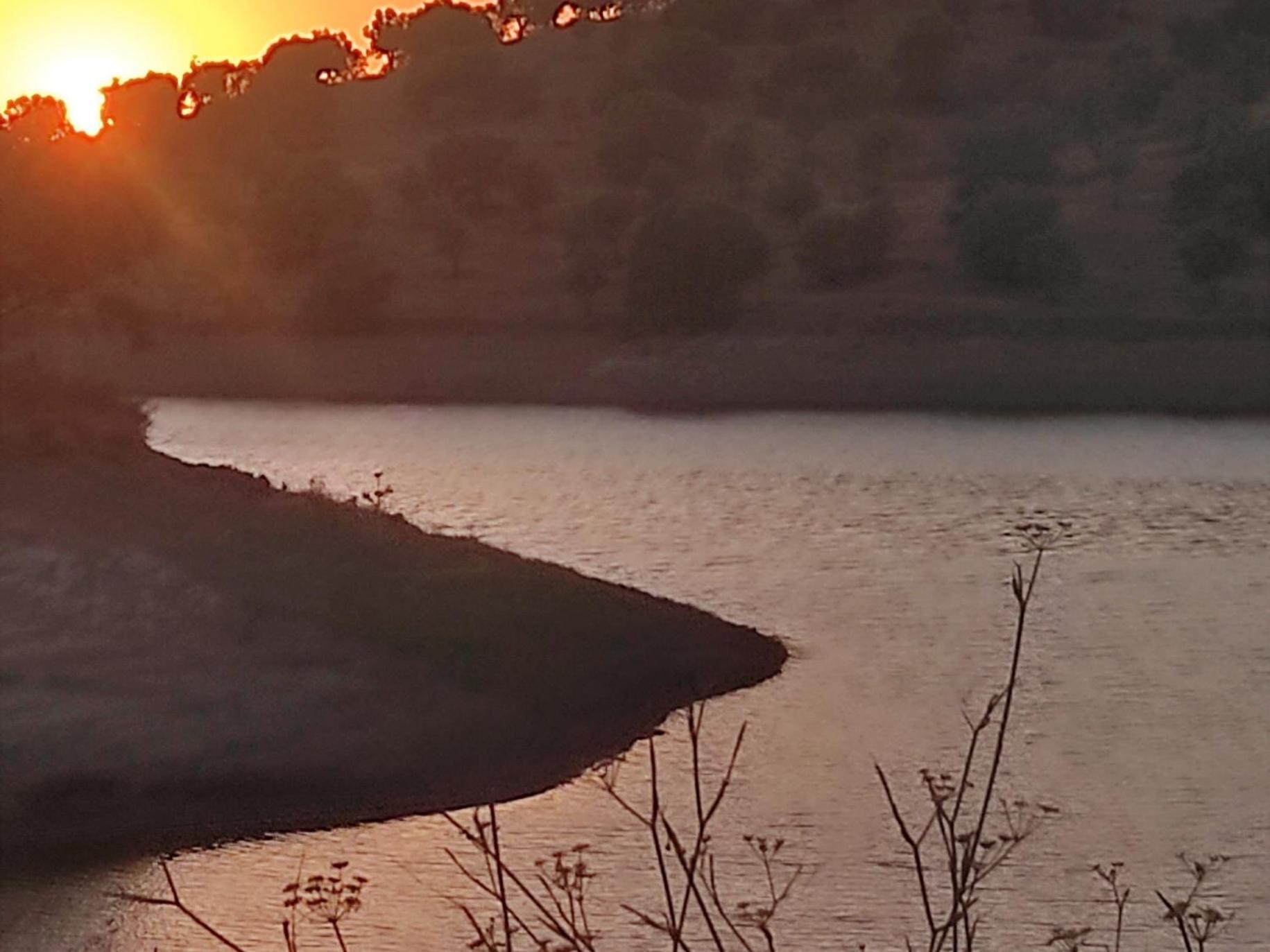 TorrãoNova Quinta Moderna Torramo Em Oliveiras, Campo De Laranjas, Na Nacional 2, Alentejo 13750 M2别墅 外观 照片
