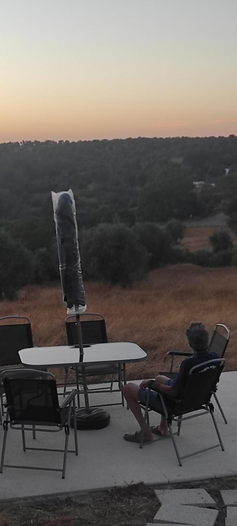 TorrãoNova Quinta Moderna Torramo Em Oliveiras, Campo De Laranjas, Na Nacional 2, Alentejo 13750 M2别墅 外观 照片
