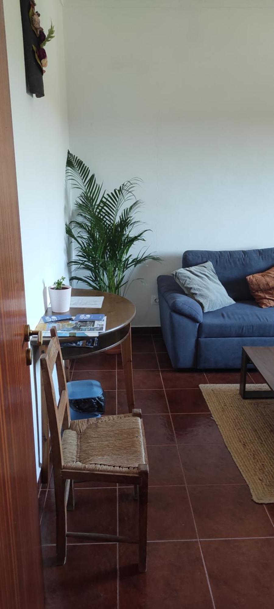 TorrãoNova Quinta Moderna Torramo Em Oliveiras, Campo De Laranjas, Na Nacional 2, Alentejo 13750 M2别墅 外观 照片