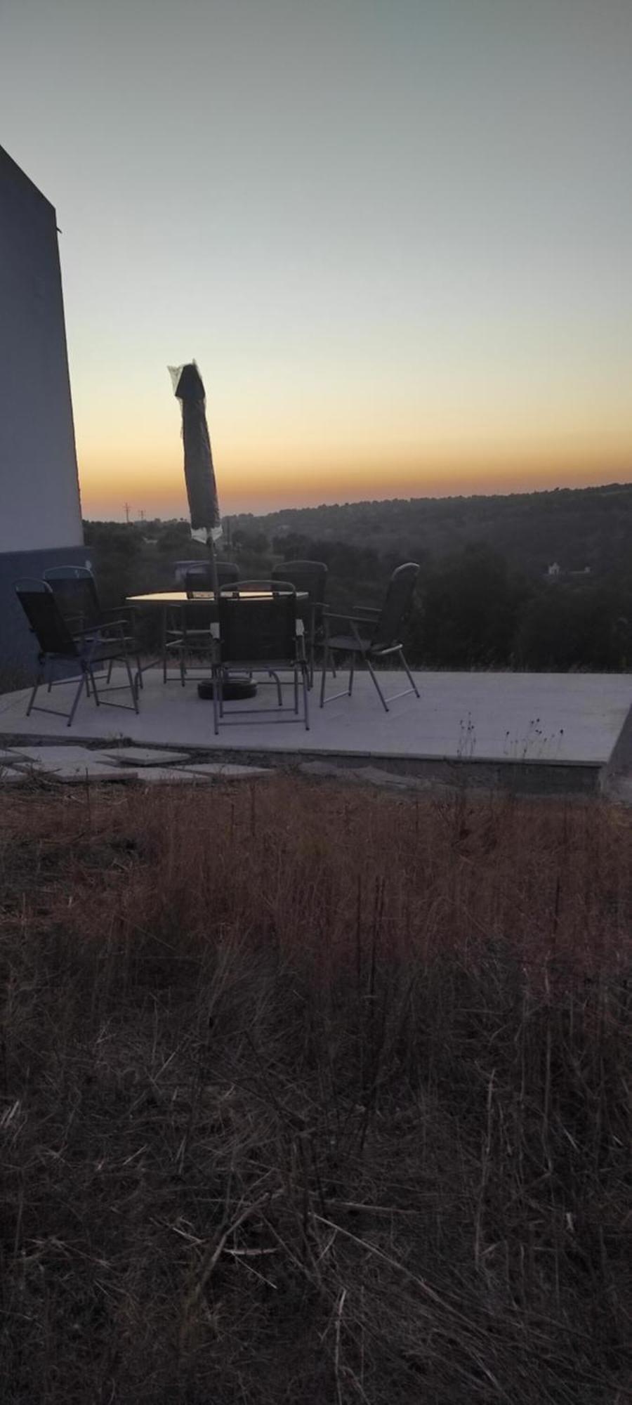 TorrãoNova Quinta Moderna Torramo Em Oliveiras, Campo De Laranjas, Na Nacional 2, Alentejo 13750 M2别墅 外观 照片